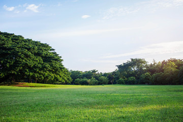Lawn and sky with the sunlight.