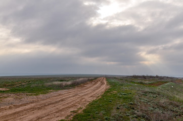 Fototapeta premium unpaved country road in spring steppe near Elista Republic of Kalmykia, Russia 