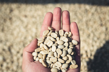 Coffee making process Seed processing and drying
