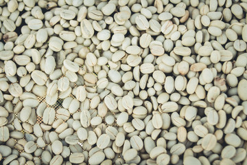 Coffee making process Seed processing and drying