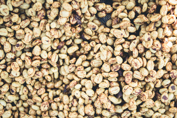 Coffee making process Seed processing and drying