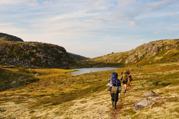 Obraz premium Tourists with heavy backpacks hiking in tundra. Kola Peninsula, Russia