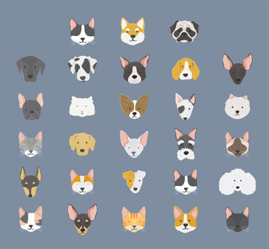 Illustration of animals set