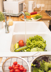 Vegetables lie in the sink