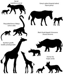 Collection of animals with cubs living in the territory of Africa, in silhouettes: northern giraffe, black rhinoceros, Grevy's zebra, ring-tailed lemur, fennec fox, serval