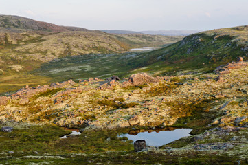 Fototapeta na wymiar Tundra landscape. Kola Peninsula, Murmansk region, Russia