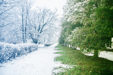 place where winter meet with spring in city park