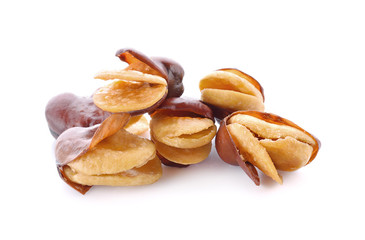 fava bean isolated on white background