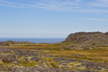 Shore of the Barents Sea. Tundra landscape. Kola Peninsula, Murmansk region, Russia