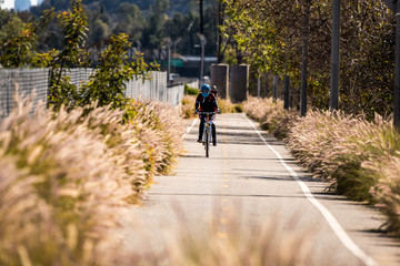 Obraz premium A bike path in Los Angeles California
