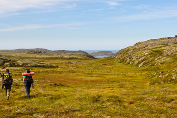 Fototapeta premium Tourists with heavy backpacks hiking in tundra. Kola Peninsula, Russia