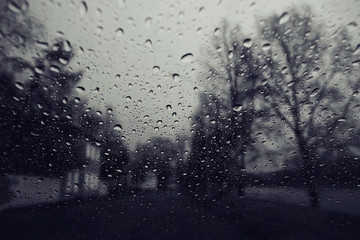 winter night in the park