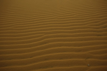 Texture sand in the desert