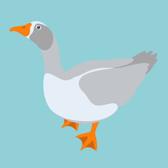 Obraz premium goose vector illustration flat style profile side