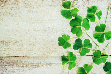 Clover leaf. Happy St. Patrick's Day. Selective focus.  