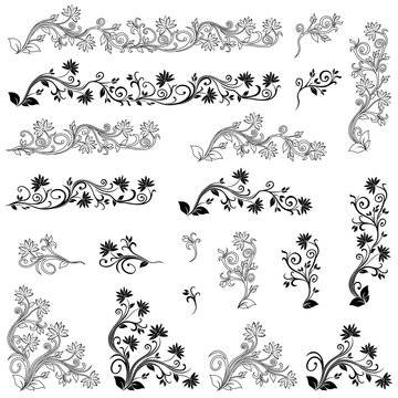 Set of swirl floral design elements