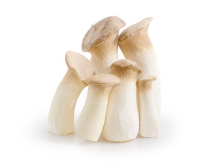 Fototapeta na wymiar Fresh cultivated Eringi mushrooms different sizes on white background
