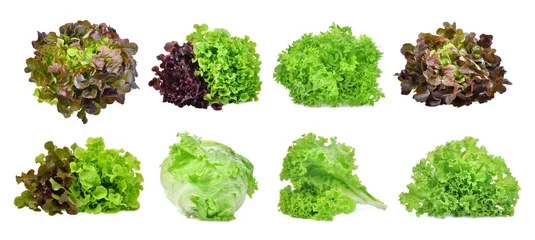 Foto auf Acrylglas Frisches Gemüse Satz Salatgemüse isoliert auf weißem Hintergrund