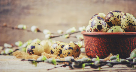 quail eggs on a beautiful spring background. Selective focus.  