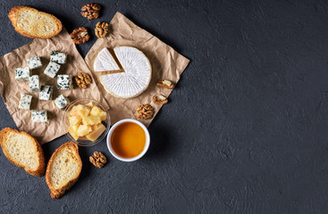 Cheese camembert, blue cheese, parmesan, toasts, honey and walnut on a dark background. Flat Lay.