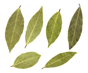Fototapeta premium Bay leaves isolated on white background