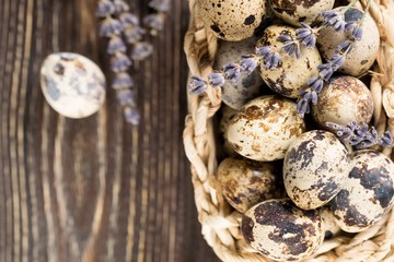 Quail eggs in basket on wooden desk. Space for text. Rustic style. Top view. Dried lavender flowers. 