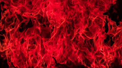 Blazing fire flame for background and nature abstract