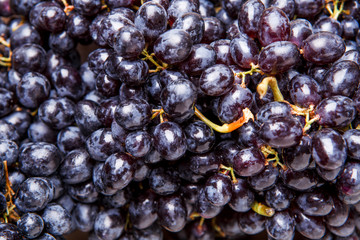 Photo on top of black grapes