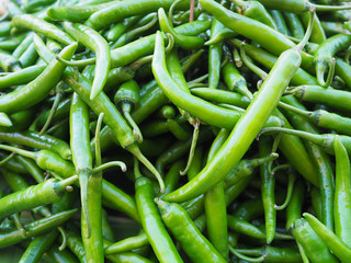 Close up of green chili pepper in the market