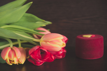 bouquet of tulips on a dark background