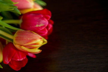 bouquet of tulips on a dark background