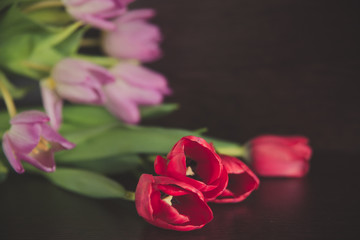 bouquet of tulips on a dark background