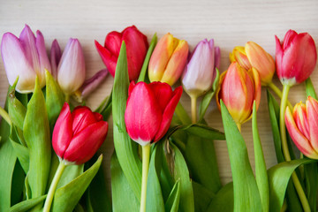 bouquet of colorful tulips on a light wooden background, a layout for your text