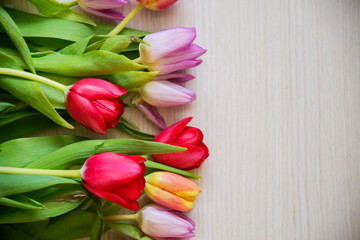 bouquet of colorful tulips on a light wooden background, a layout for your text