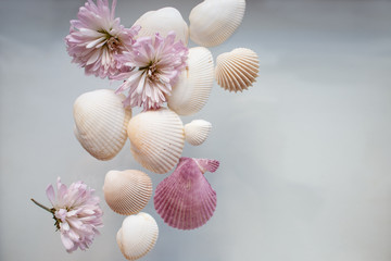 flowers and seashells