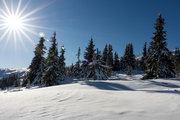 The beautiful landscapes of high mountains in Romania during a very cold day of winter.