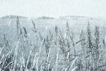 rain background / autumn background textures of rain on field with dry grass, walk in bad windy weather, blurred background of bad weather