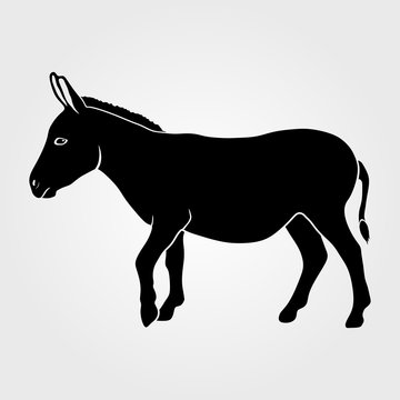 Donkey icon isolated on white background.