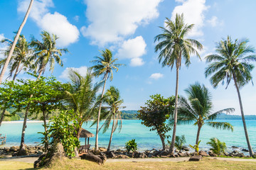 Fototapeta na wymiar Coconut palm tree on the beach and sea