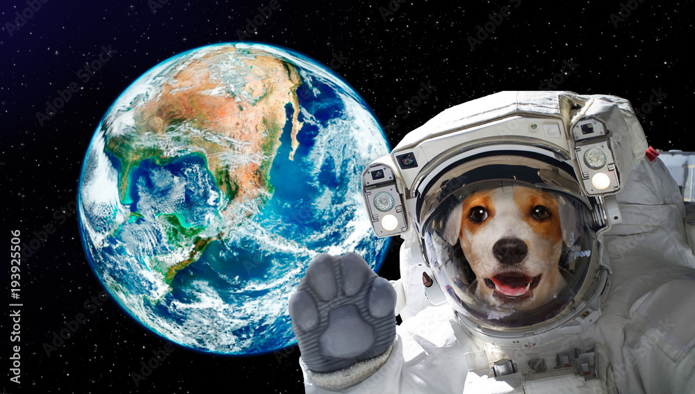 Sticker pretty dog astronaut in space on background of the globe. elements of this image furnished by nasa.