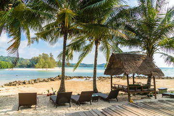 Coconut palm tree on the beach and sea