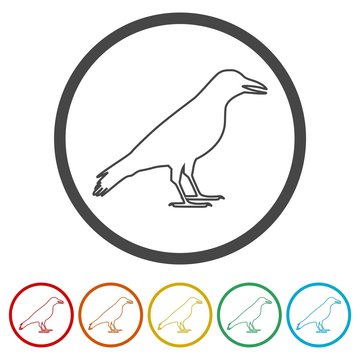 Crow vector illustration design, Crow silhouette, 6 Colors Included