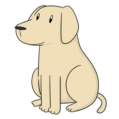 vector of dog, labrador retriever