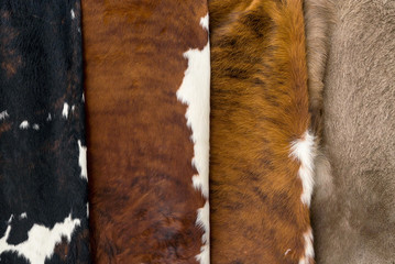 Cow skin Pattern texture black white red gray