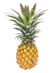 Fototapeta premium Pineapple fruit isolated on white background, clipping path included