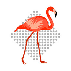 Design with flamingo. Tropical bright abstract bird