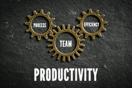 Components of productivity