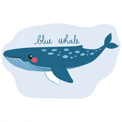 Foto op Canvas Cute happy blue whale on water underwater with text © Kakigori Studio