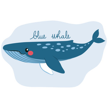 Cute happy blue whale on water underwater with text