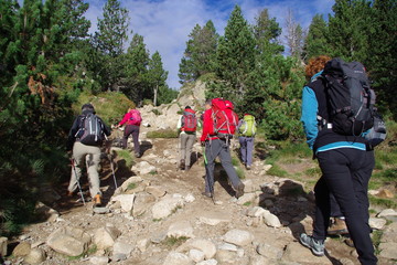 Randonneurs en montagne